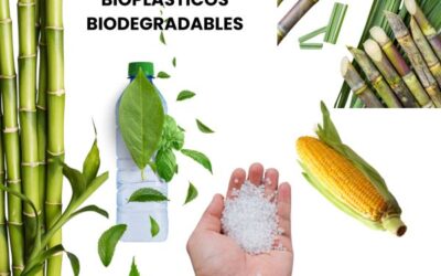 Bioplásticos Biodegradables: Una Alternativa Sostenible para un Futuro más Verde