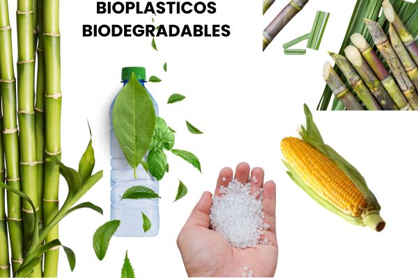 Bioplásticos Biodegradables: Una Alternativa Sostenible para un Futuro más Verde