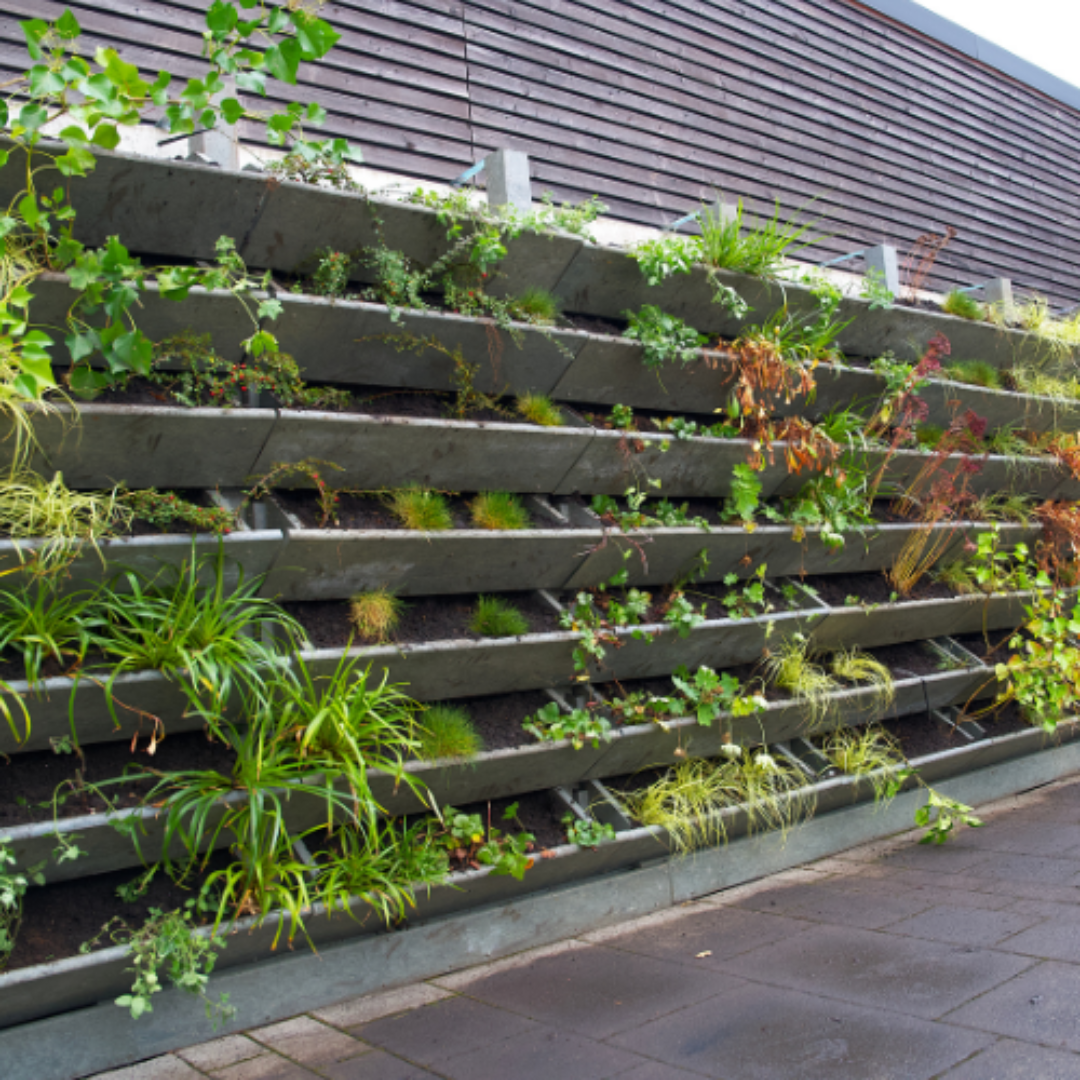 Agricultura urbana Bogotá