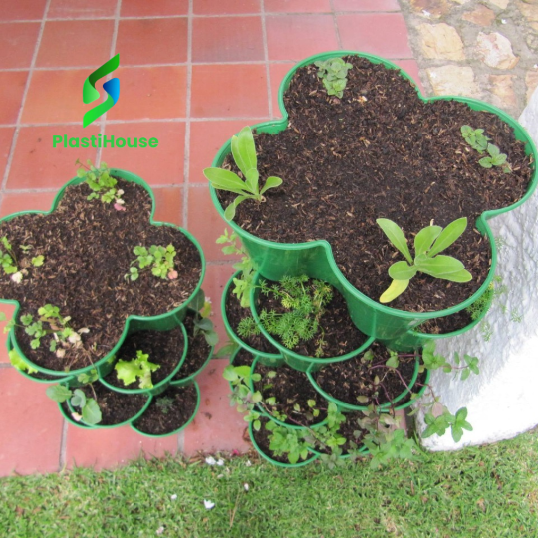 Agricultura-urbana-Bogota